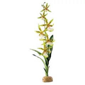 Exo-Terra Rainforest Plant Spider Orchid - Terráriumi műnövény dekoráció (Pók Orchidea) cca.45cm