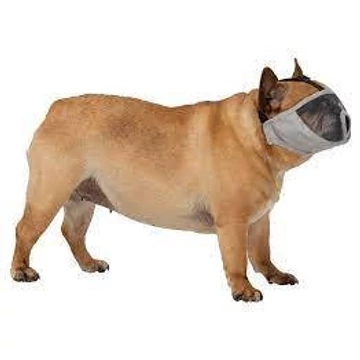 Trixe Muzzle for short-nosed breeds - szájkosár (szürke) rövid orrú kutyák részére (S-M) 31cm