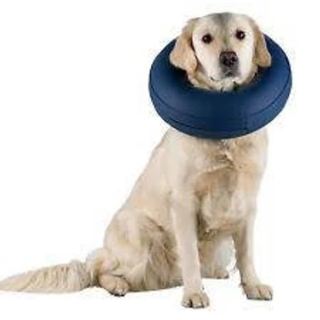 Trixie Protective Collar, inflatable - felfújható, védőgallér M-L (kék) kutyák részére (45-57cm/11cm)