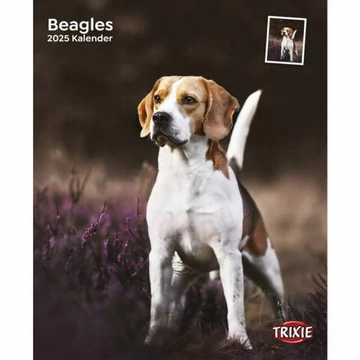 trixie 12548 naptár beagle