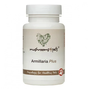 ARMILLARIA PLUS 60 kapszula