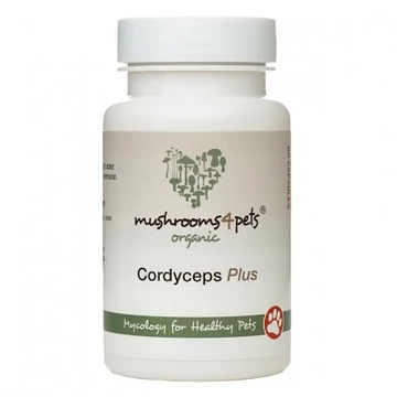 CORDYCEPS PLUS (500 MG) 60 kapszula