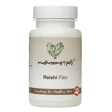 REISHI FLEX 60 kapszula
