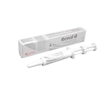 Renal P Oral paszta macskáknak 1  x 15 ml
