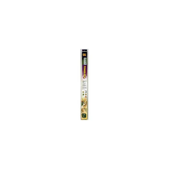HAGEN A.FéNYCSo P-GLO  8/28