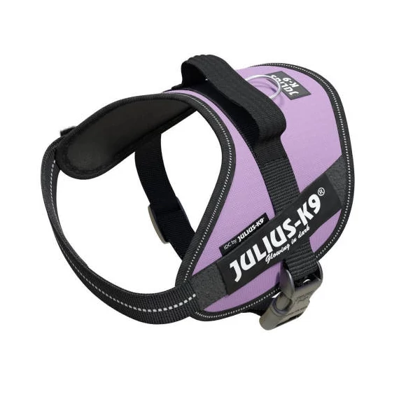 Julius-K9 IDC Powerhám (lila) kutyák részére (mini méret)