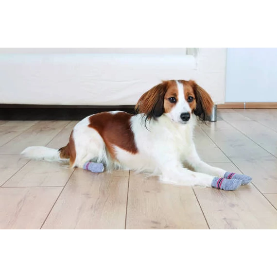 Trixie Dog Socks - kutyazokni (szürke) M-L (2cs)
