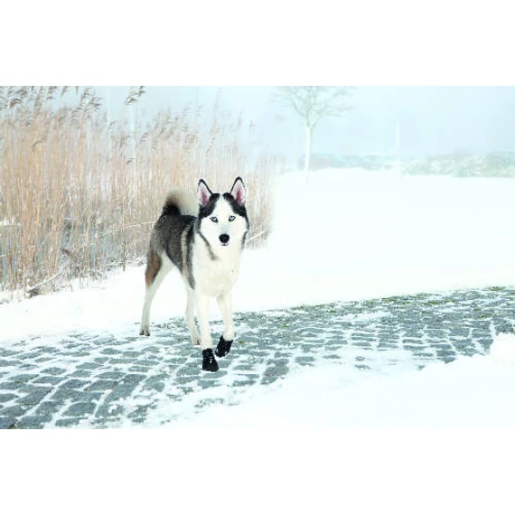 Trixie Walker Active Protective Boots - csízma (fekete) kutyák részére (L)