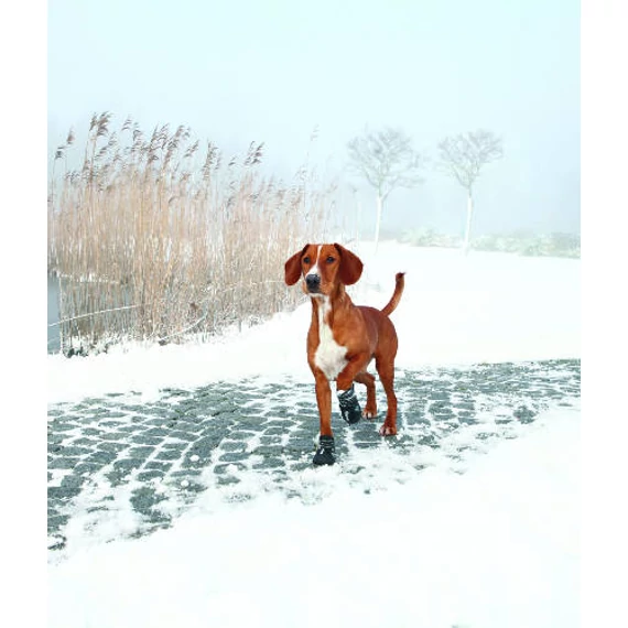 Trixie Walker Active Protective Boots - csízma (fekete) kutyák részére (M-L)