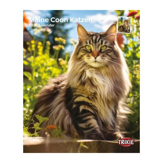 trixie 12589 naptár maine coon macskás