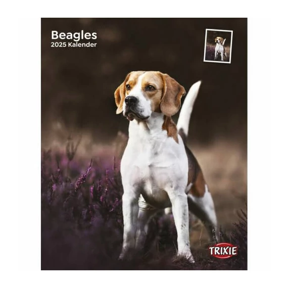 trixie 12548 naptár beagle