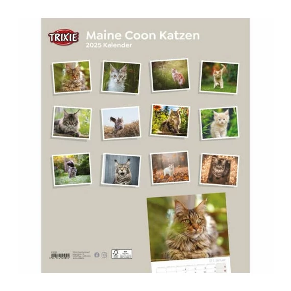 trixie 12589 naptár maine coon macskás