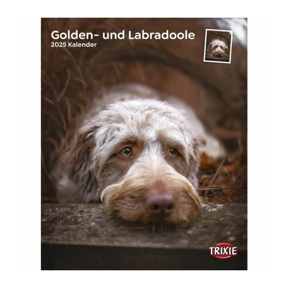 trixie naptár Golden és Labradoodle