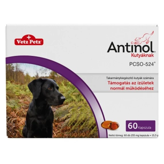 ANTINOL KUTYÁKNAK