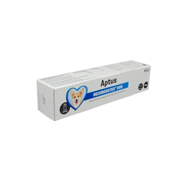 APTUS RECOBOOSTER DOG PASZTA 100 g