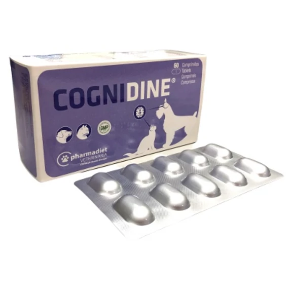 COGNIDINE TABL. 60 tabletta