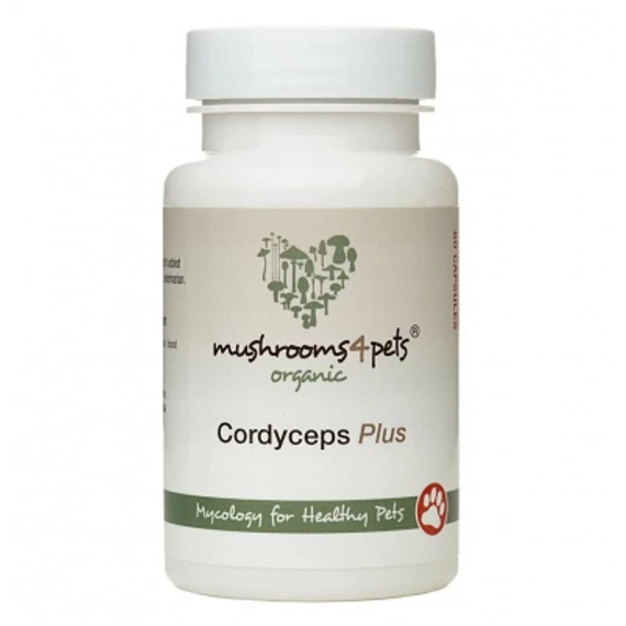 CORDYCEPS PLUS (500 MG) 60 kapszula