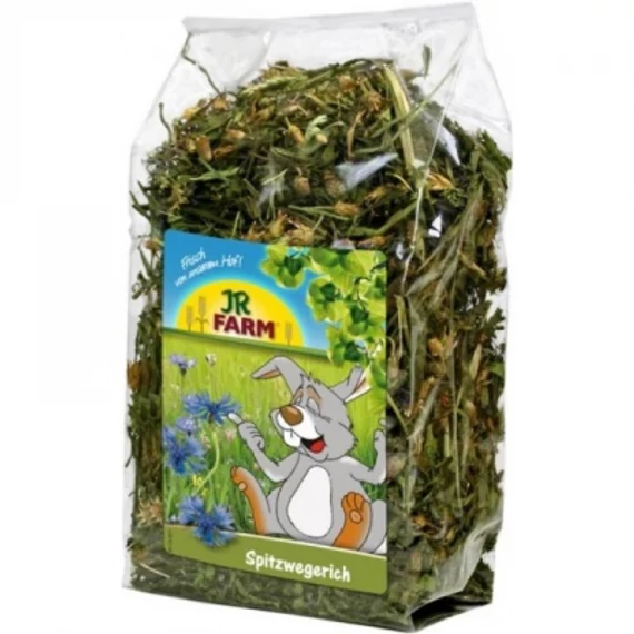 JR Farm Lándzsás Útifű 100 g