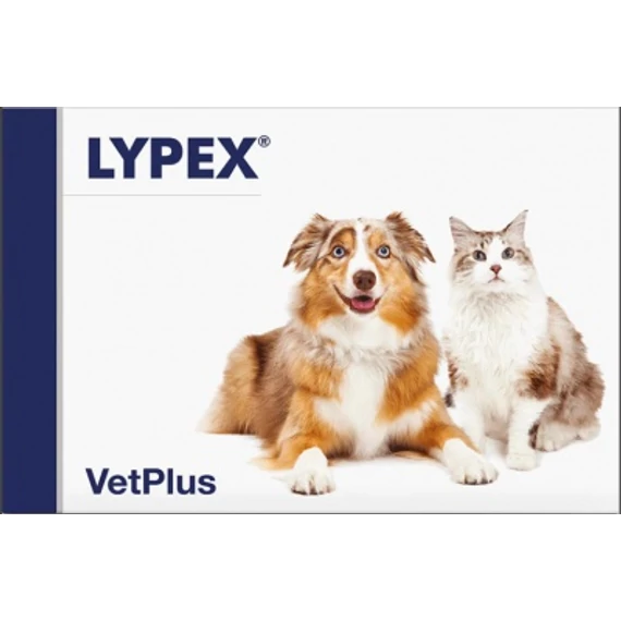 Lypex kapszula 60 db