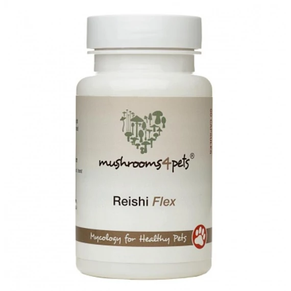 REISHI FLEX 60 kapszula