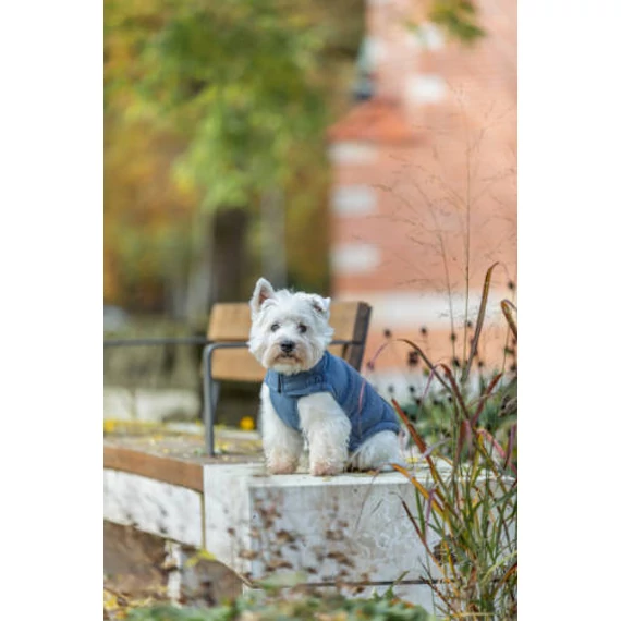Trixie Ajou coat - kabát (kék) kutyák részére (XXS) 18cm