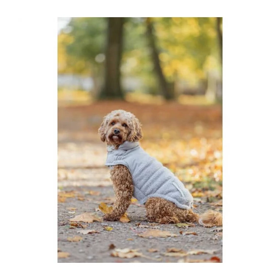 Trixie Ajou coat - kabát (szürke) kutyák részére (XXS) 24cm