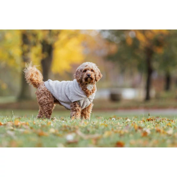 Trixie Carson Hoodie - pulóver (homok) kutyák részére (XXS) 24cm