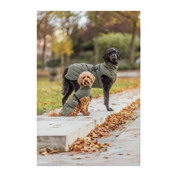 Trixie Minot Dog Coat - kabát (olívazöld) kutyák részére (S) 33cm