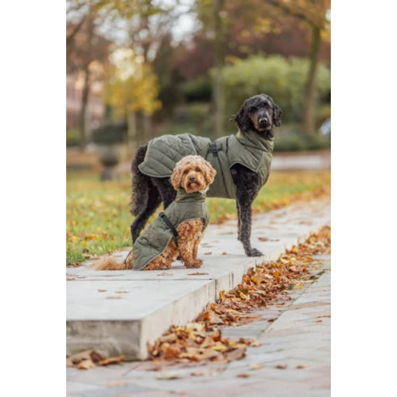 Trixie Minot Dog Coat - kabát (olívazöld) kutyák részére (S) 36cm