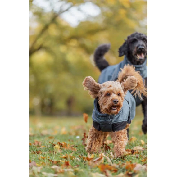 Trixie Riom Dog Winter - télikabát (sötétkék) kutyák részére (XXL) 80cm
