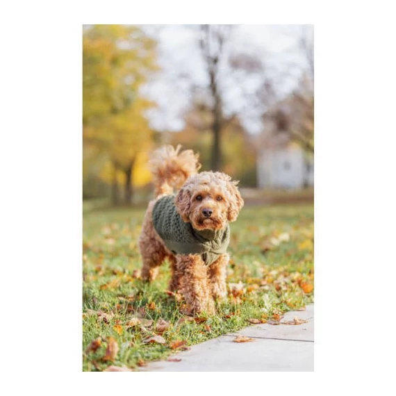 Trixie Norwood Pullover - pulóver (olívazöld) kutyák részére (S) 40cm