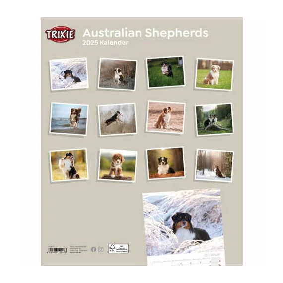 Trixie Calendar Australian Shepherd - falinaptár (Ausztrál juhászkutya) 2021