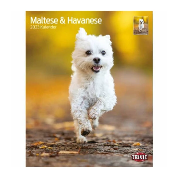 Trixie Calendar Maltese & Havanese 2023 - naptár (Máltai,Havanese) 35x43cm