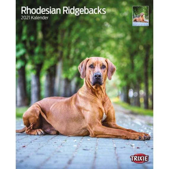 Trixie Calendar Rhodesiai Ridgeback 2023 - naptár (Afrikai oroszlánkutya) 35x43cm