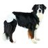 Trixie Diapers for Female Dogs - pelenka szuka kutyák részére (L) 12db (38-56cm)