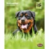 trixie 12577 naptár rottweiler