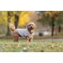 Trixie Carson Hoodie - pulóver (homok) kutyák részére (XXS) 21cm