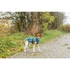 Trixie Dog raincoat Vimy - esőkabát (benzin) kutyák részére (S) 35cm