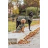 Trixie Minot Dog Coat - kabát (olívazöld) kutyák részére (S) 36cm