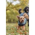 Trixie Riom Dog Winter - télikabát (sötétkék) kutyák részére (XXL) 80cm