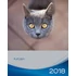 trixie 12592 naptár cicák